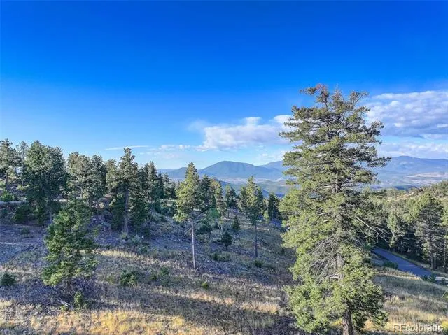 23047 Big Game Trail Conifer, CO 80433