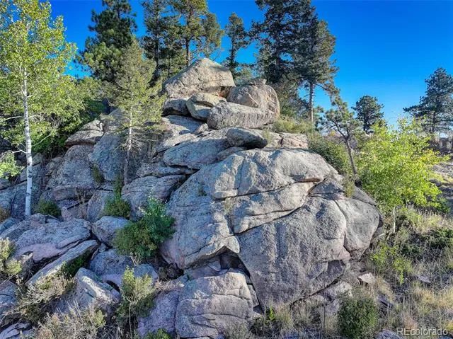 23047 Big Game Trail Conifer, CO 80433