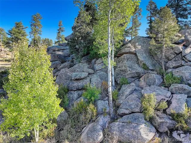 23047 Big Game Trail Conifer, CO 80433