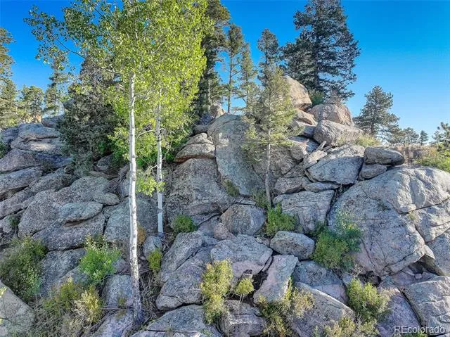 23047 Big Game Trail Conifer, CO 80433