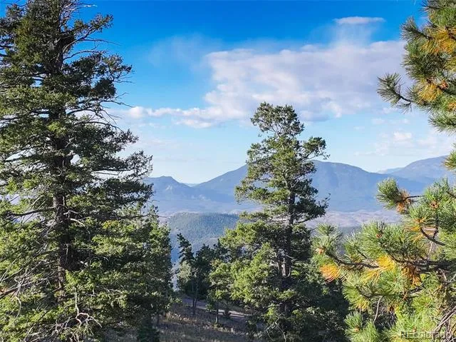 23047 Big Game Trail Conifer, CO 80433