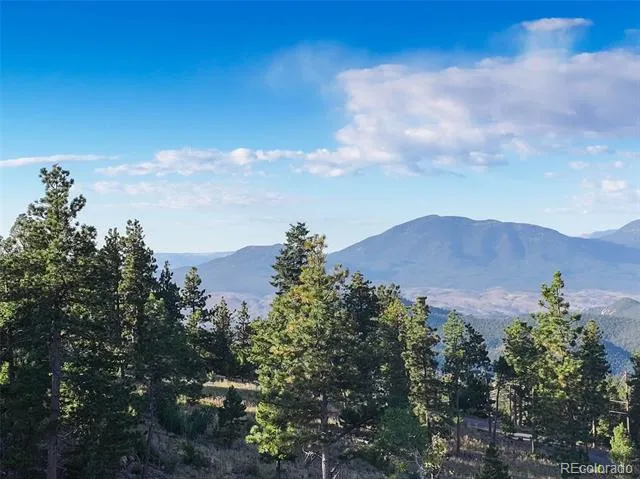 23047 Big Game Trail Conifer, CO 80433