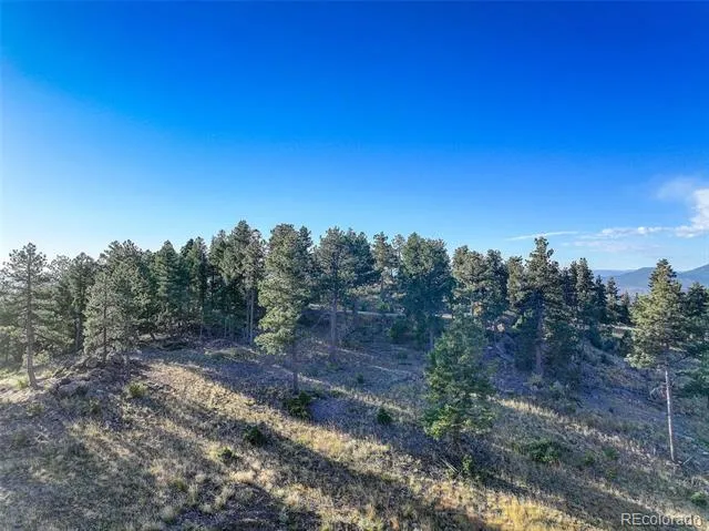 23047 Big Game Trail Conifer, CO 80433