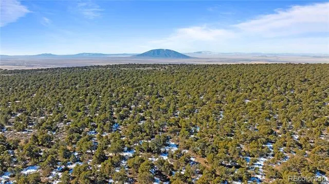 Lot 90 Elk Park Road San Luis, CO 81152