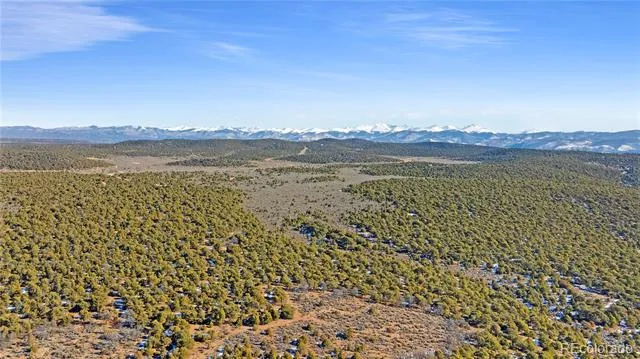 Lot 90 Elk Park Road San Luis, CO 81152