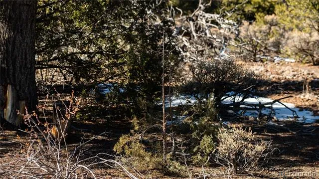 Lot 90 Elk Park Road San Luis, CO 81152