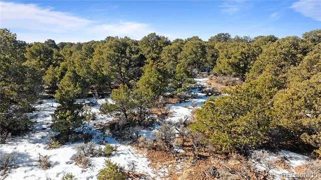 Lot 90 Elk Park Road San Luis, CO 81152