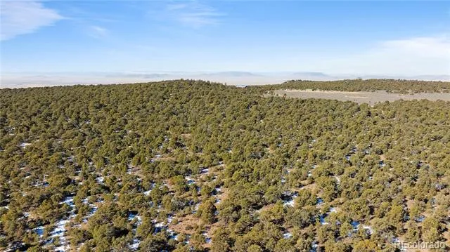 Lot 90 Elk Park Road San Luis, CO 81152