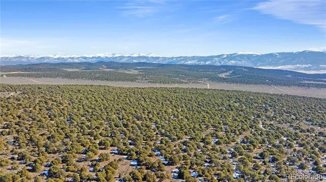 Lot 90 Elk Park Road San Luis, CO 81152