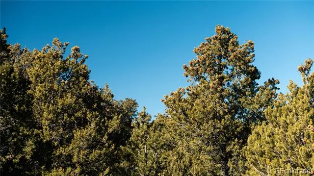 Lot 90 Elk Park Road San Luis, CO 81152