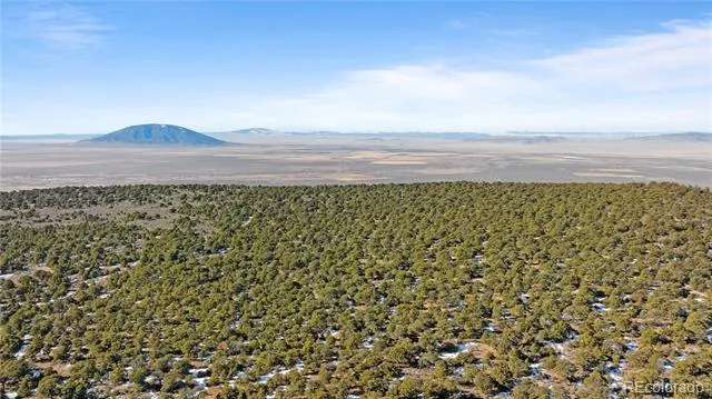 Lot 90 Elk Park Road San Luis, CO 81152
