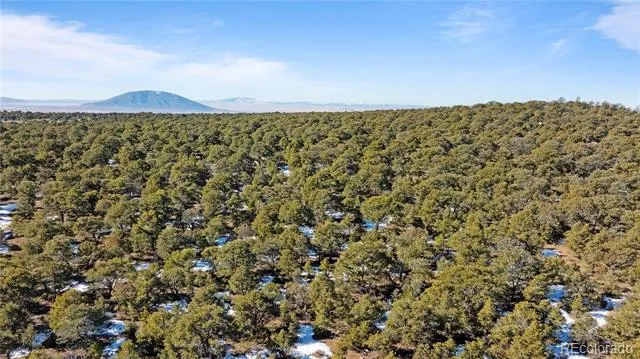 Lot 90 Elk Park Road San Luis, CO 81152