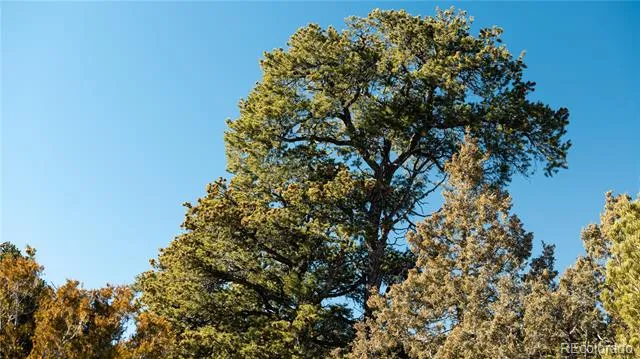 Lot 90 Elk Park Road San Luis, CO 81152