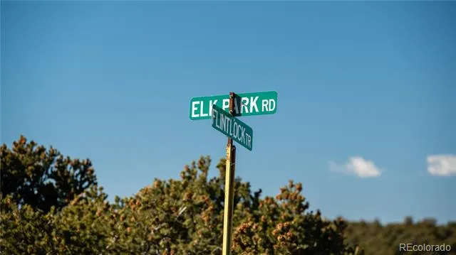 Lot 90 Elk Park Road San Luis, CO 81152