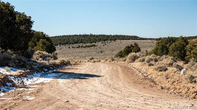 Lot 90 Elk Park Road San Luis, CO 81152