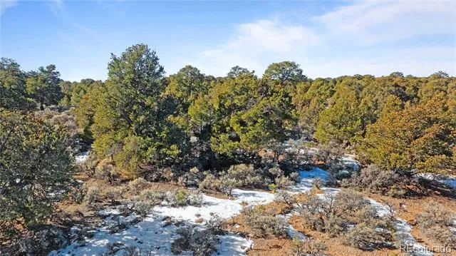 Lot 90 Elk Park Road San Luis, CO 81152