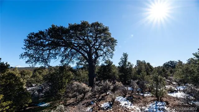 Lot 90 Elk Park Road San Luis, CO 81152
