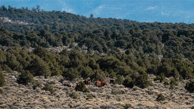 Lot 90 Elk Park Road San Luis, CO 81152