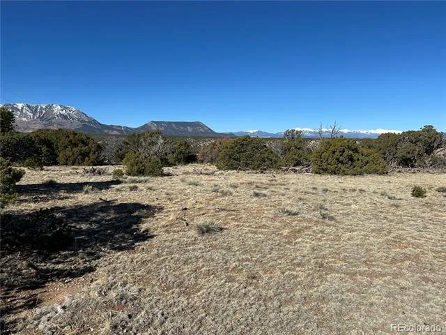 lot 62 CL&G Unit BB Gardner, CO 81040