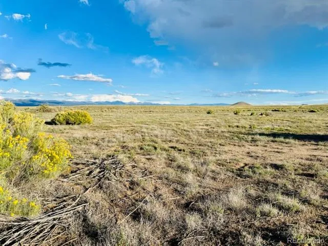 006 Bagby Ct Blanca, CO 81123