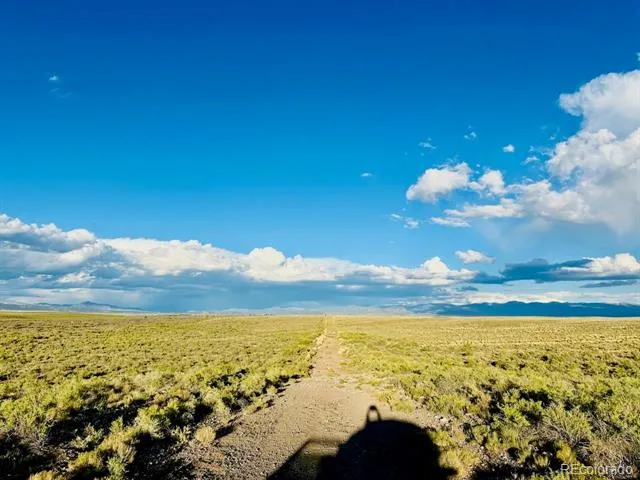 006 Bagby Ct Blanca, CO 81123