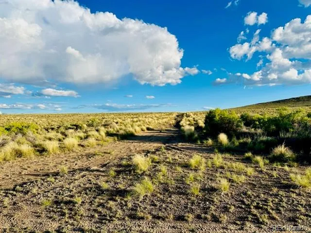 006 Bagby Ct Blanca, CO 81123
