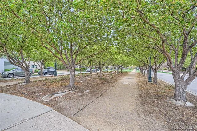 7700 E 29th street Avenue #404 Denver, CO 80238