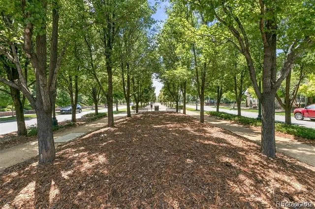 7700 E 29th street Avenue #404 Denver, CO 80238