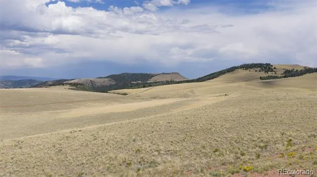 234 Cimarron Crossing Canon City, CO 81212
