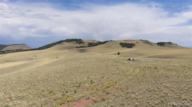 234 Cimarron Crossing Canon City, CO 81212