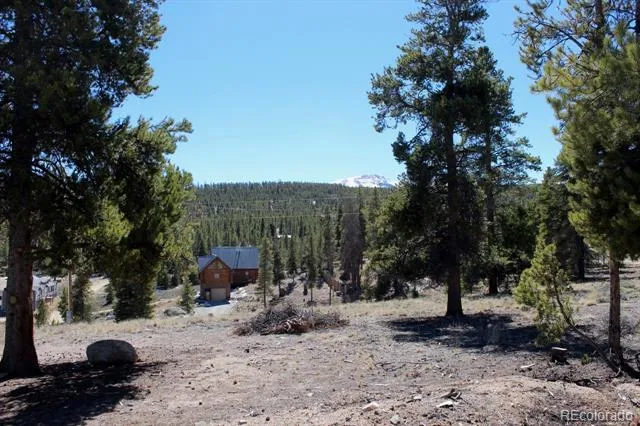 104 Cedar Drive Twin Lakes, CO 80461