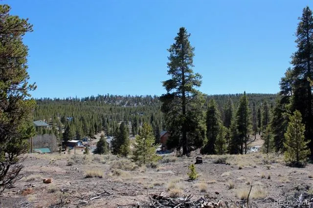 104 Cedar Drive Twin Lakes, CO 80461