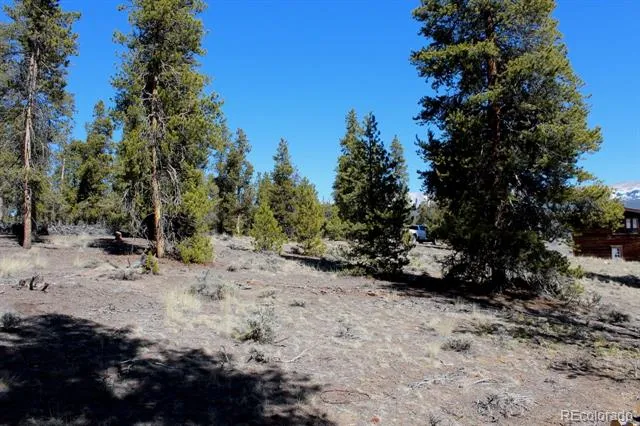 104 Cedar Drive Twin Lakes, CO 80461