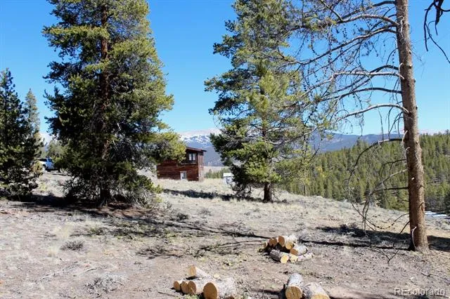 104 Cedar Drive Twin Lakes, CO 80461