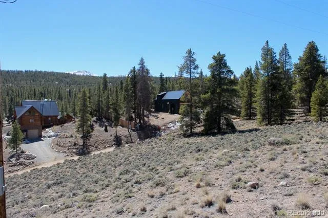 104 Cedar Drive Twin Lakes, CO 80461