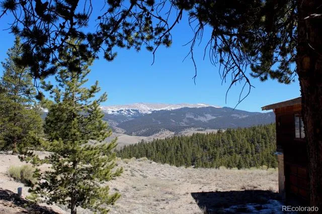 104 Cedar Drive Twin Lakes, CO 80461