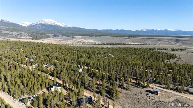 104 Cedar Drive Twin Lakes, CO 80461