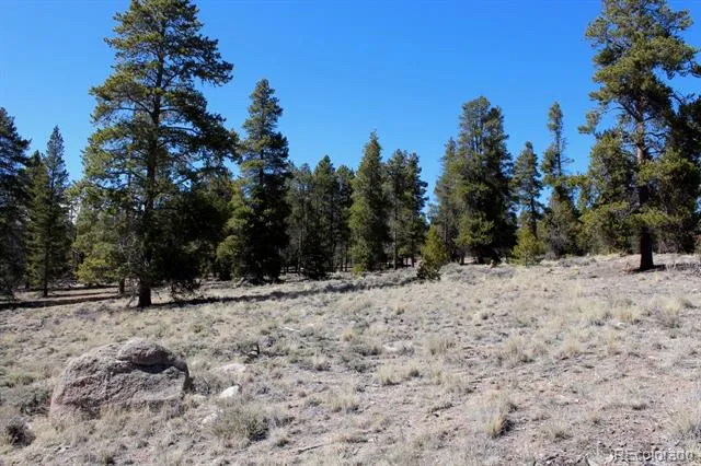104 Cedar Drive Twin Lakes, CO 80461