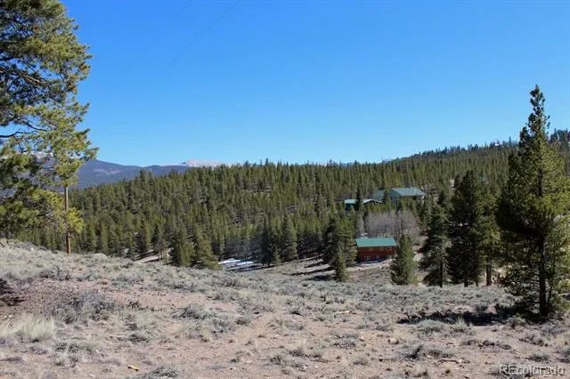 104 Cedar Drive Twin Lakes, CO 80461