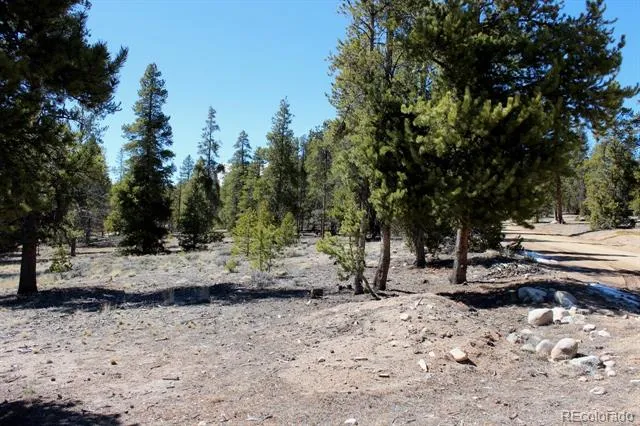 104 Cedar Drive Twin Lakes, CO 80461