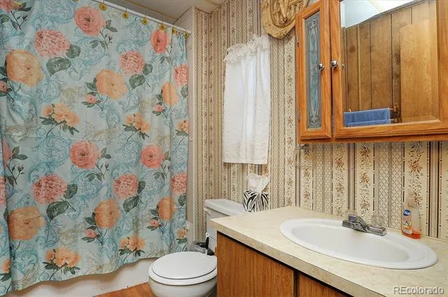 602 Vine Street Salida, CO 81201