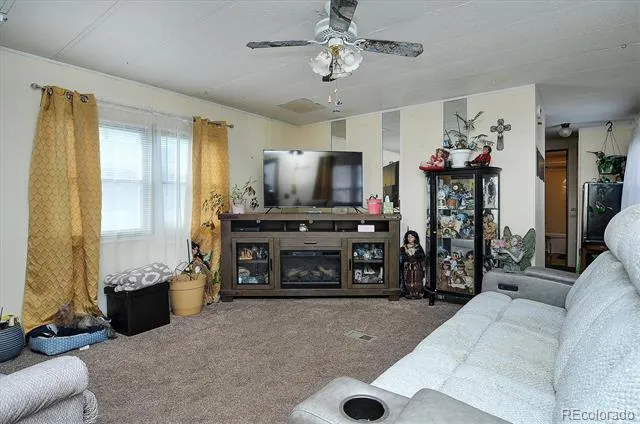 602 Vine Street Salida, CO 81201