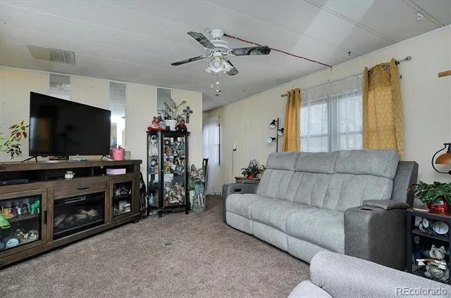 602 Vine Street Salida, CO 81201