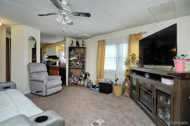 602 Vine Street Salida, CO 81201