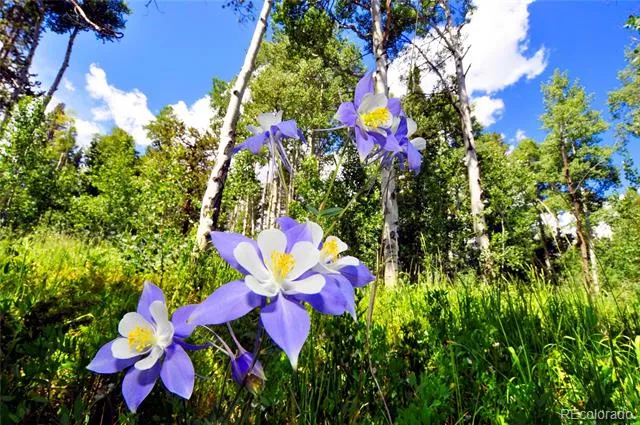 2635 Hunters Knob Road Silverthorne, CO 80498