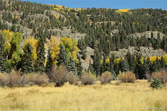 Address Not Shown Antonito, CO 81120