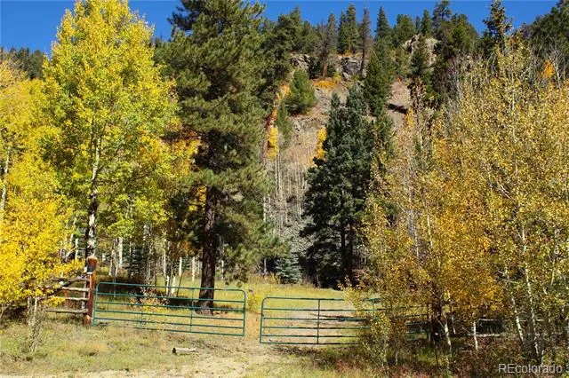 Address Not Shown Antonito, CO 81120