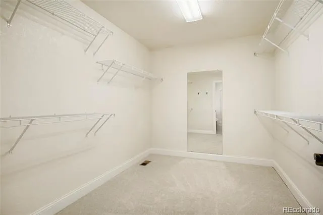 17193 Opal Hill Drive Parker, CO 80134