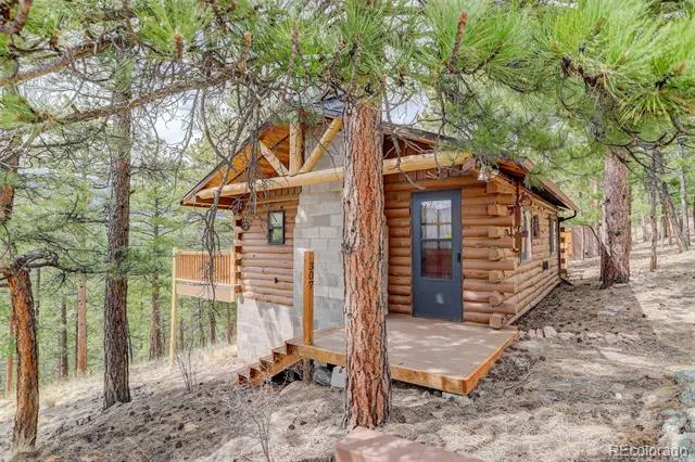 307 Virginia Road Bailey, CO 80421