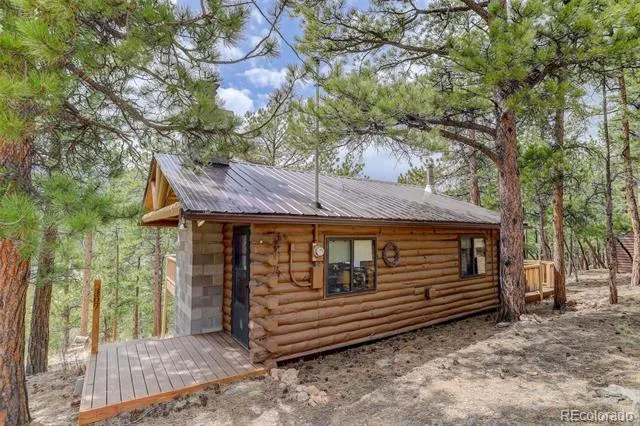307 Virginia Road Bailey, CO 80421